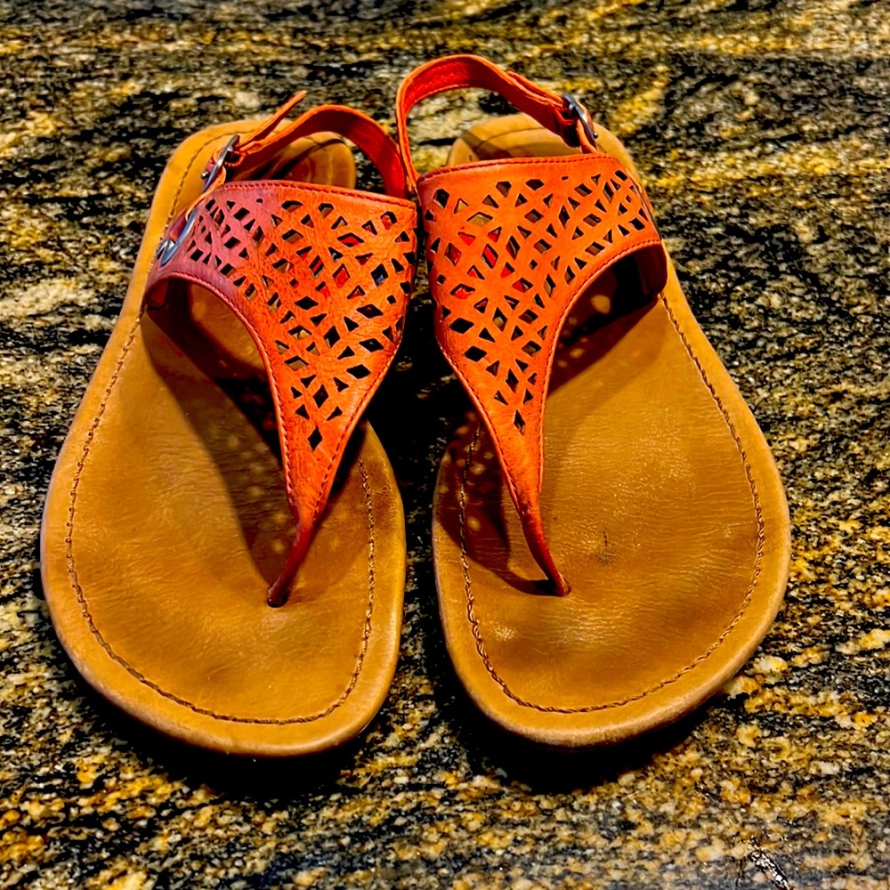 Cute Ugg sandals in good used condition